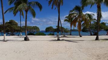 Tæt på stranden, liggestole, badehåndklæder