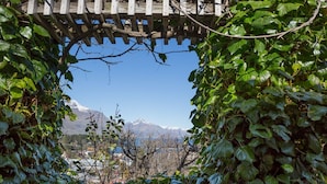 Una estructura de pérgola de madera rodeada de exuberante hiedra verde.