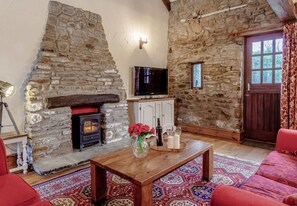 Televisio, takka, DVD-soitin, videokirjasto