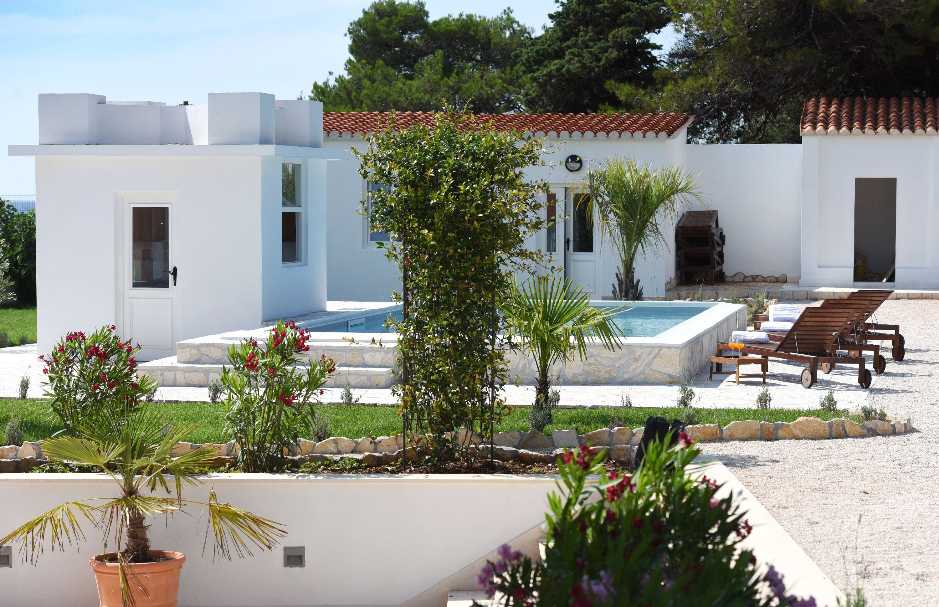 A white building with a swimming pool, a patio with lounge chairs, and a garden with various plants.
