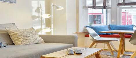 TV connectée, cheminée, lecteur de DVD