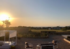 Terras
