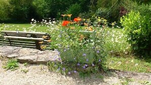 Unclassified image, 4 of 16, button - Domaine de la Dame de Lauriere (Solignac)