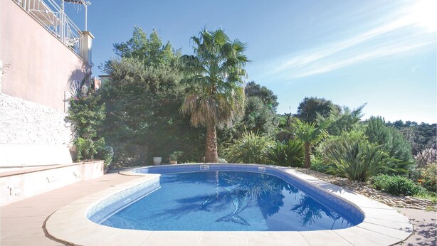 Ein Schwimmbecken mit geschwungener Kante, umgeben von einer gepflasterten Terrasse und verschiedenen Pflanzen.