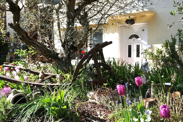 Ihre eigene Sonnenterrasse zum Garten mit Markise