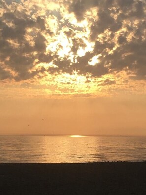 Playa en los alrededores y camastros