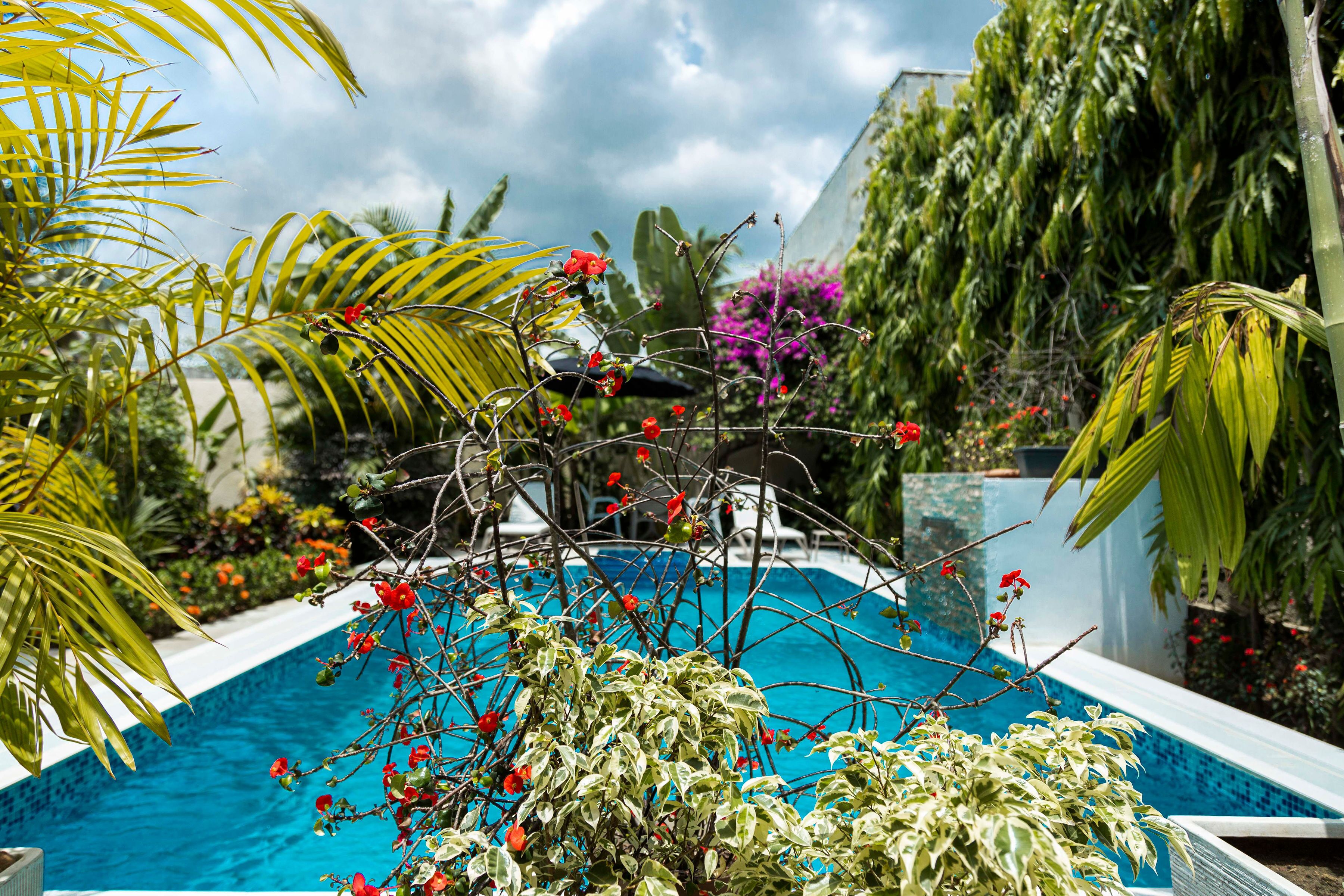Piscine extérieure, parasols de plage, chaises longues