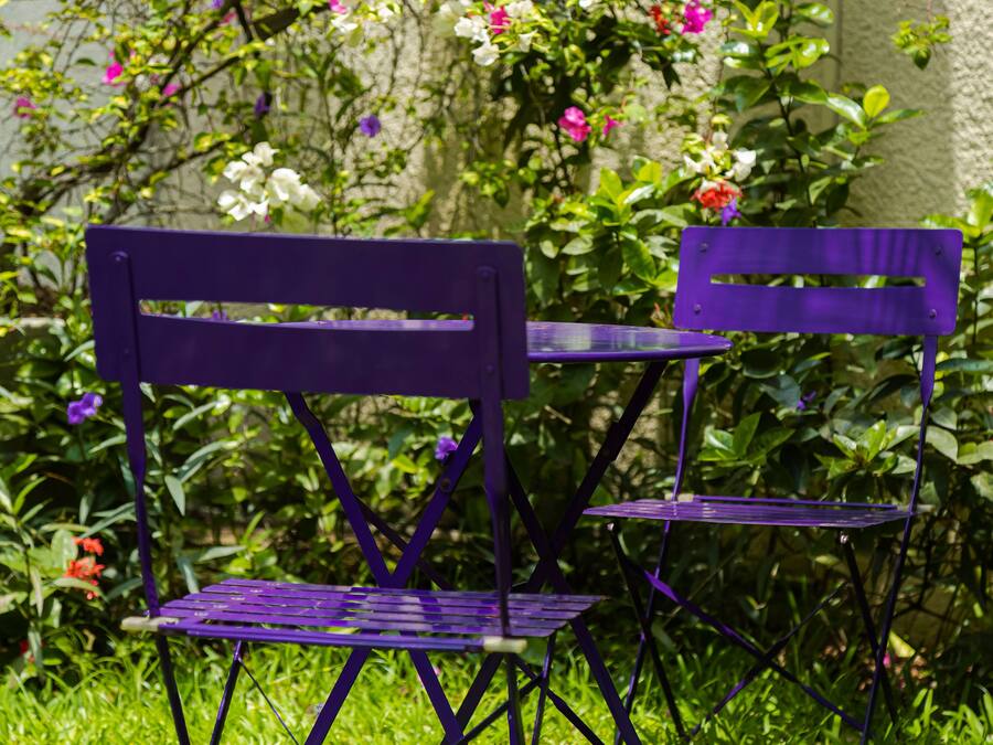 Dos sillas moradas en un jardín con abundante follaje y flores.