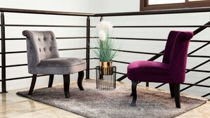 A room with a grey and a purple chair, a small plant, and a grey rug. - Villa Jaddis (Abidjan)