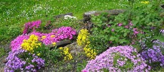 BED and BREAKFAST Alpe Veglia