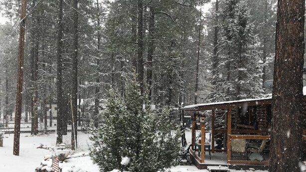 A cabin in a snowy forest with a glass door, surrounded by snow-covered trees and a small garden area with a metal planter. - Cabin in The Pines.. **Available 240v Tesla and EV charging.  (Heber-Overgaard)