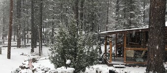 Cabin in The Pines.. **Available 240v Tesla and EV charging.