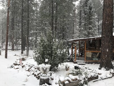 Cabin in The Pines.. **Available 240v Tesla and EV charging.