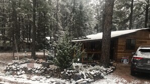 A cabin with a snow-covered yard, a small American flag, and a parked car. - Cabin in The Pines.. **Available 240v Tesla and EV charging.  (Heber-Overgaard)