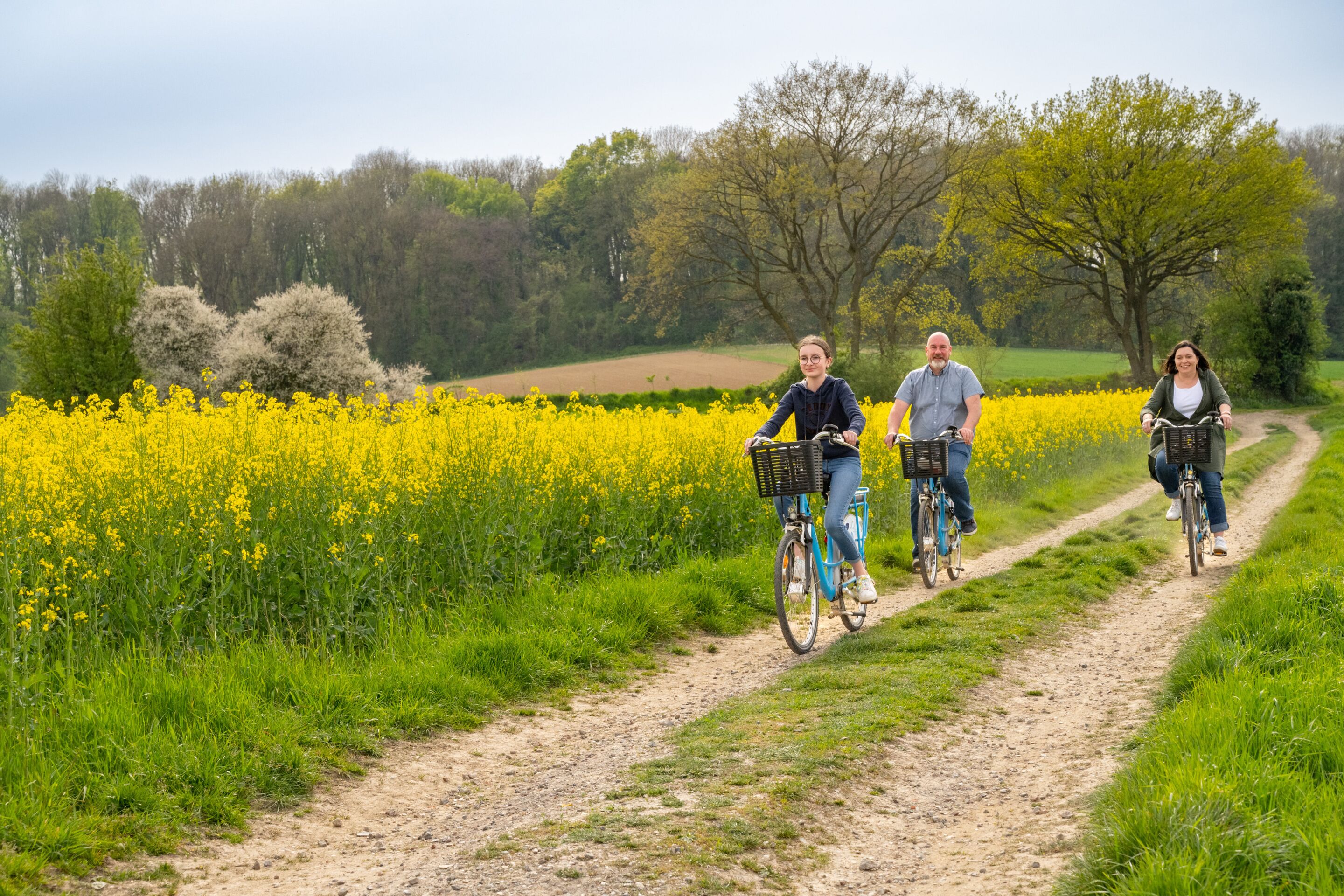 A dirt path through a field of yellow flowers with three people cycling.