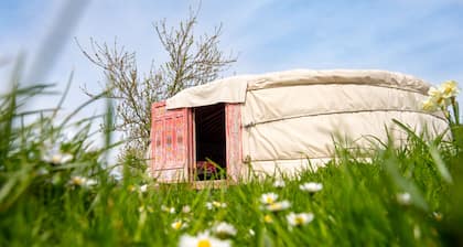 Farm yurt with private apartment