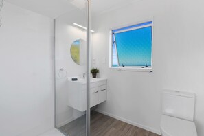 Shower, hair dryer