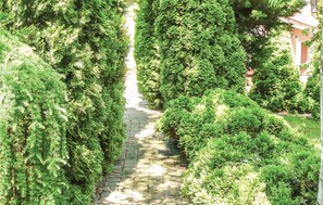 Un sendero de piedra bordeado por exuberante follaje verde que conduce a un edificio de techo rojo.