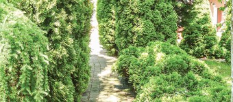 Stunning home in Gdansk with WiFi