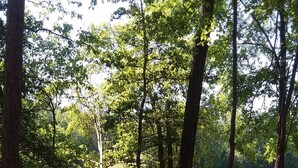 Speisen im Freien
