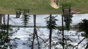 Un perro sobre un césped con su reflejo en el agua, rodeado de árboles y mobiliario de exterior.