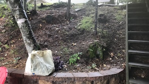 Un jardín con un muro de ladrillo, una bolsa de plástico blanca y una escalera de metal.