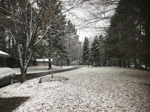 Aparcament a les instal·lacions, cal arribar-hi en cotxe