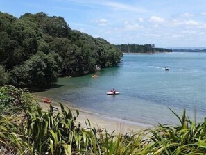 A coastal area with a beach, boats, and dense greenery.