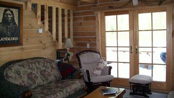 TV, DVD player, books, video library