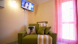 Un canapé vert agrémenté d’un coussin à motif canin et d’une couverture à rayures, un téléviseur fixé au mur et une fenêtre ornée de rideaux roses.