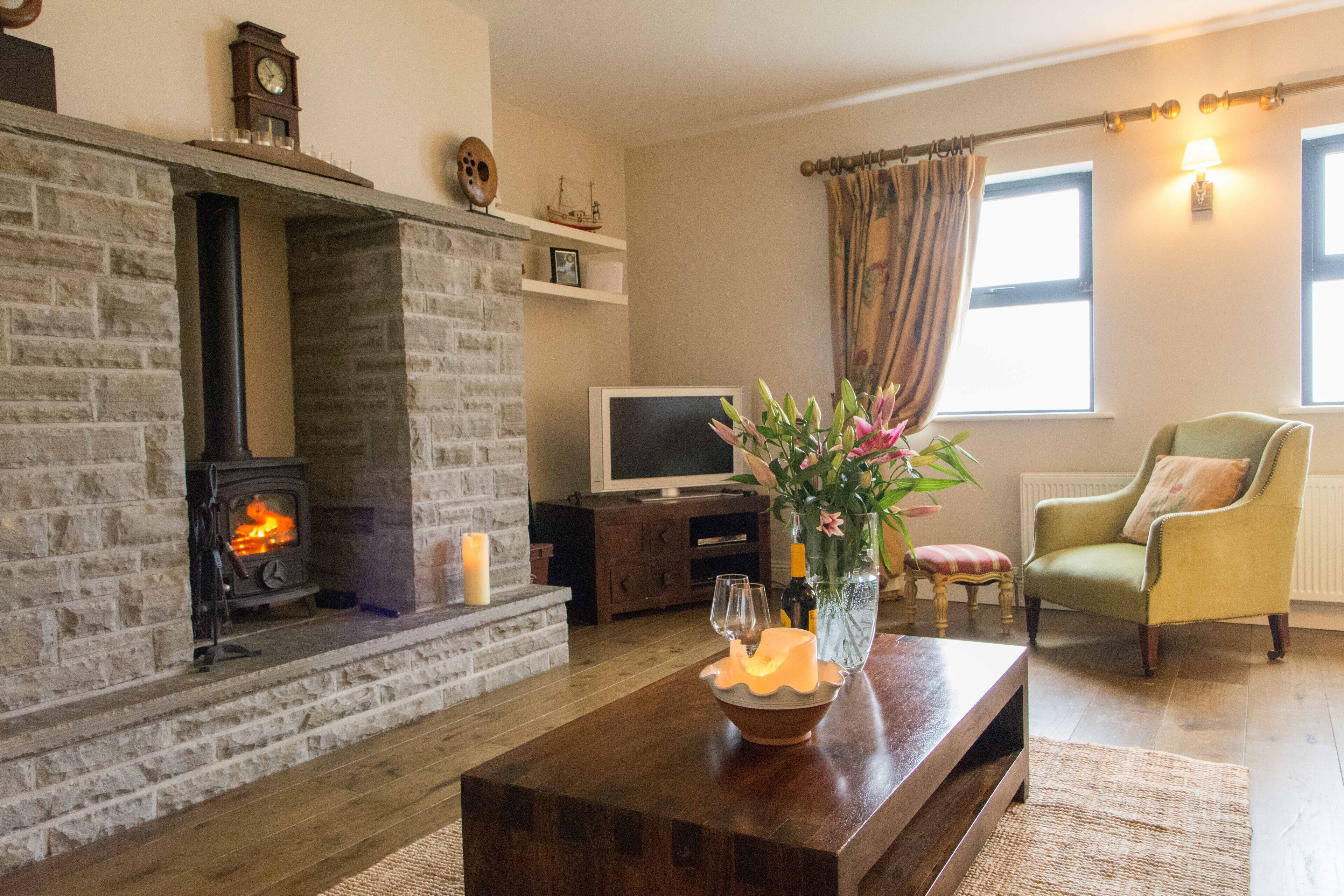 Smart TV, chimenea, reproductor de DVD y libros 