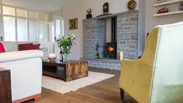 Smart TV, chimenea, reproductor de DVD y libros
