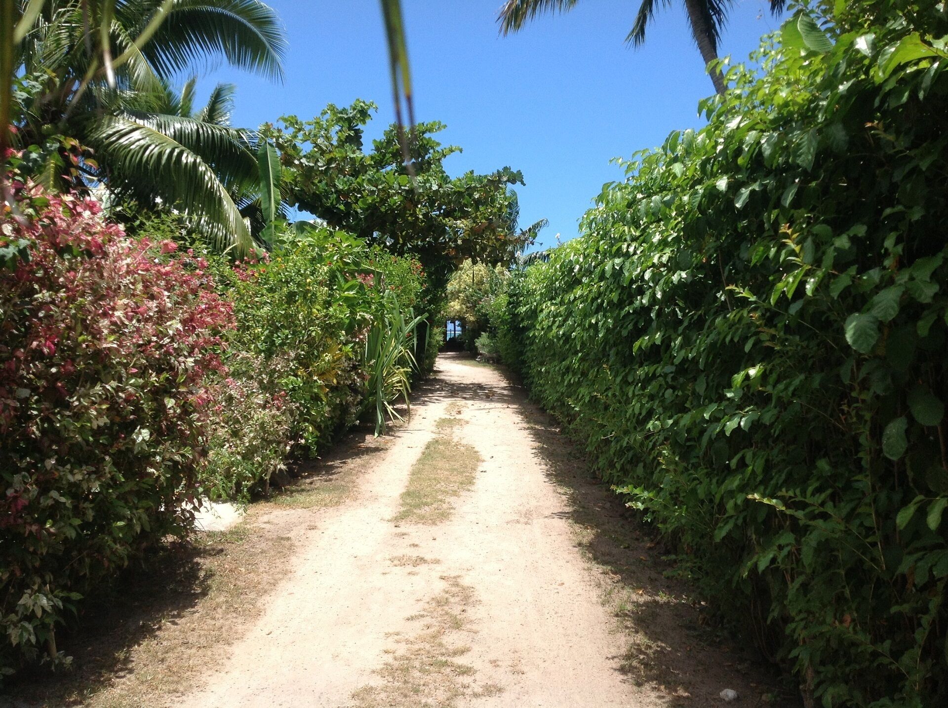 Access way