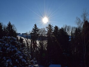 Unclassified image, 3 of 5, button