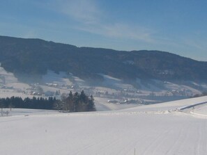 Unclassified image, 2 of 5, button