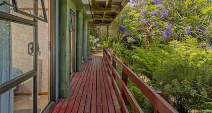 Treetop Bach - Hahei Bach