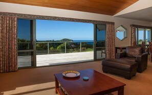 Televisión, chimenea, libros y estéreo 