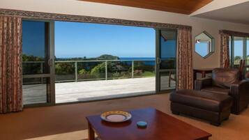 TV, peis, bøker og stereoanlegg