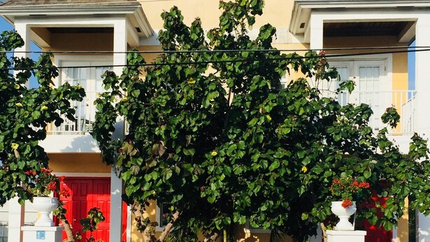 A two-story house with a beige facade, a red door, and a large tree in front. - Point Of View Townhouse (Nassau)