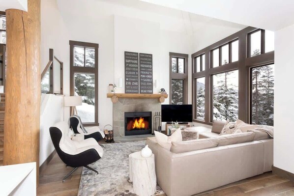 Télévision, cheminée, espaces bureaux