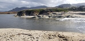 Playa en los alrededores, camastros y toallas de playa 