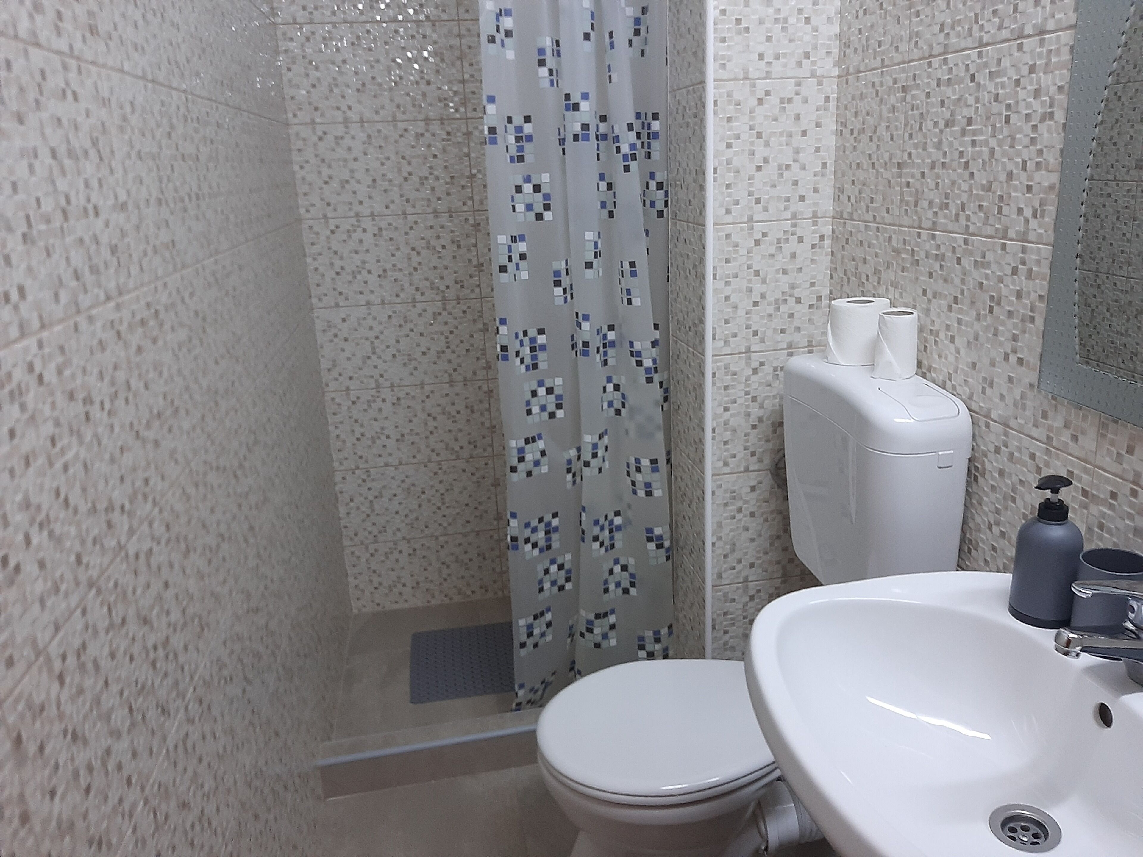 A bathroom with a toilet, a sink, a shower with a patterned curtain, and a toilet paper holder.