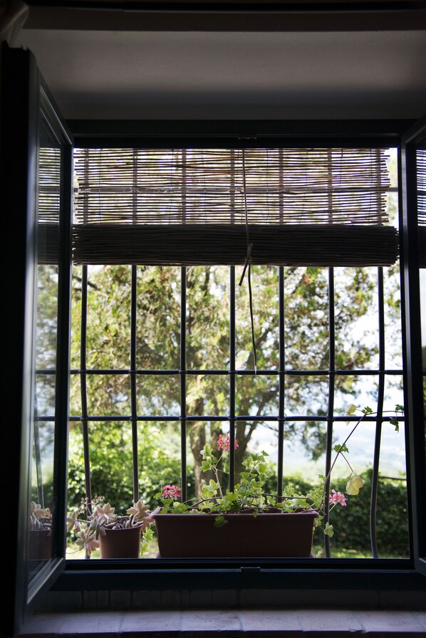 Interior - "The fireplace"discover the Tuscan peculiarities getting lost in landscapes (Vicchio)