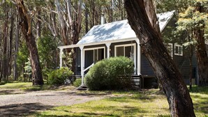 A rustic cabin with a porch, surrounded by tall trees and a gravel path.