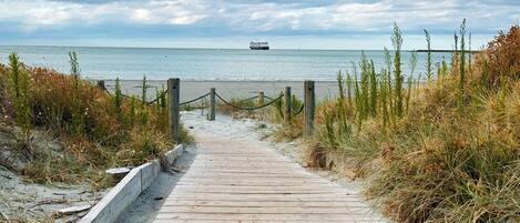 Chaises longues, serviettes de plage