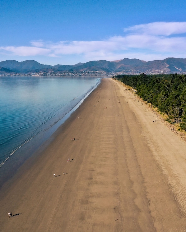 Camastros y toallas de playa 