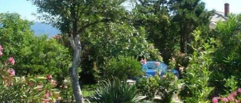 Jardines del alojamiento