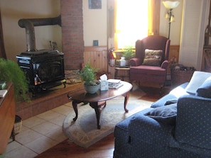 Smart TV, fireplace, DVD player, books
