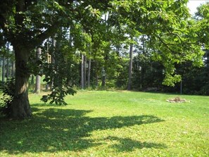 Backyard with fire ring and grove of pines