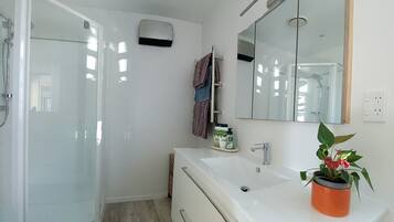 Combined shower/tub, jetted tub, hair dryer, towels
